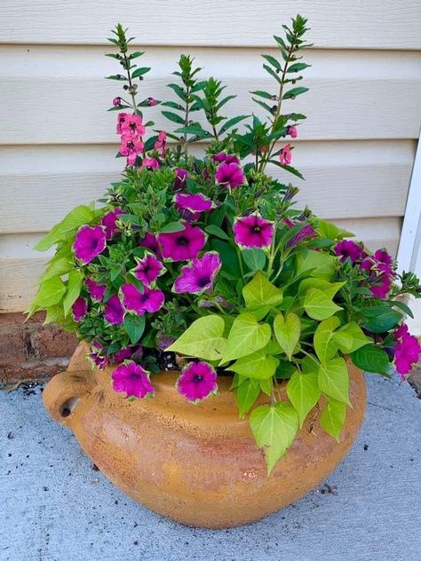 Whether your style leans towards rustic charm, contemporary elegance, or whimsical delight, big flower pot planting ideas offer endless possibilities to express your personality and create a captivating outdoor sanctuary.

#GardenDesign #ContainerGardening #OutdoorDecor #FloralArrangements #GreenSpaces #UrbanGardening #PlantingInspiration #SeasonalBlooms #HerbGardens #VerticalGardens Mexican Planters Patio, Shade Planters Ideas Front Porches, Flower Pot Planting Ideas, Pot Planting Ideas, Pot Planter Ideas, Annual Pots, Outdoor Flower Pot Ideas, Bee Sanctuary, Shade Containers