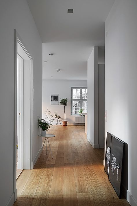 Maria Bangata 9 6tr, Södermalm / Styling: Thomas Lingsell / ph: Andy Liffner House Ireland, Light Floors, Hallway Flooring, Floor Colors, Wooden Floor, Design Del Prodotto, Room Flooring, House Flooring, Grey Walls