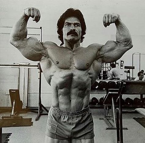 Ed Corney The Master of bodybuilding poses. #edcorney #workout #lift #muscle #goldenaesthetic #blackpanther #goldenerabodybuilding #health #legend #classicbodybuildermotivation #classicbodybuilding #goldsgym #goldsgymvenice #vintagebodybuilding #vintagebodybuildinggear #fitspo #fitfam #bodybuildingmotivation #bodybuilding #body #workoutwednesday Ed Corney, Golden Era Bodybuilding, Bodybuilding Poses, Old Bodybuilder, Arnold Schwarzenegger Bodybuilding, Frank Zane, Schwarzenegger Bodybuilding, Joe Weider, Bodybuilding Pictures