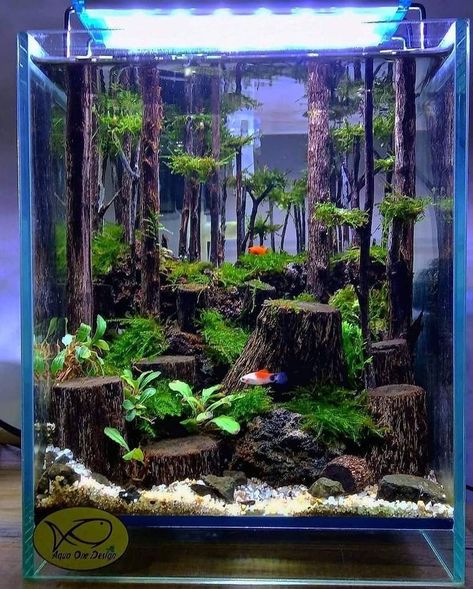 Cool Fish Tank Decorations, Aquascaping Ideas, Tank Terrarium, Water Terrarium, Fish Aquarium Decorations, Fish Tank Themes, Tank Top Outfit, Amazing Aquariums, Fish Tank Terrarium