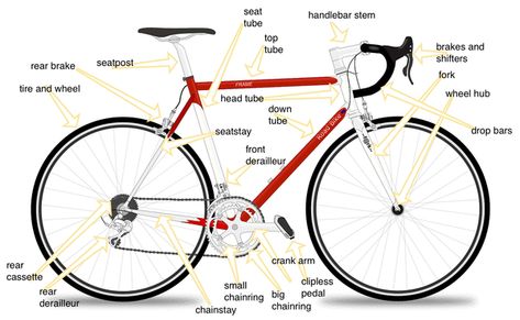 diagram of a bicycle with parts explained Road Bike Style, Road Bike Photography, Road Bike Girl, Specialized Road Bikes, Bike Women, Road Bike Accessories, Road Bike Wheels, Road Bike Shoes, Best Road Bike