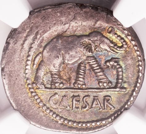 Ancient Roman silver denarius coin of Julius Caesar. Obverse depicts elephant trampling serpent. Circa 49-78 B.C. Graded AU (Almost Uncirculated) by NGC. Ancient Roman Coins, Coin Grading, Roman Coins, Ancient Coins, Ancient Romans, Elephant, Silver