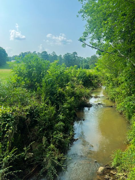 Mississippi Nature, Mississippi Aesthetic, Rural Mississippi, South Aesthetic, Summer Places, Southern Aesthetic, Lost Memories, Southern Mississippi, American States