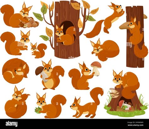 Download this stock vector: Cartoon squirrel woodland animal character, sleeping, jumping, playing. Forest wild nimble squirrel vector illustration set. Cute woods fauna rodent - 2H5M0W9 from Alamy's library of millions of high resolution stock photos, illustrations and vectors. Character Sleeping, Squirrel Vector, Forest Animals Illustration, Cartoon Squirrel, Squirrel Illustration, Squirrel Art, Game 2d, Animal Character, Cute Squirrel