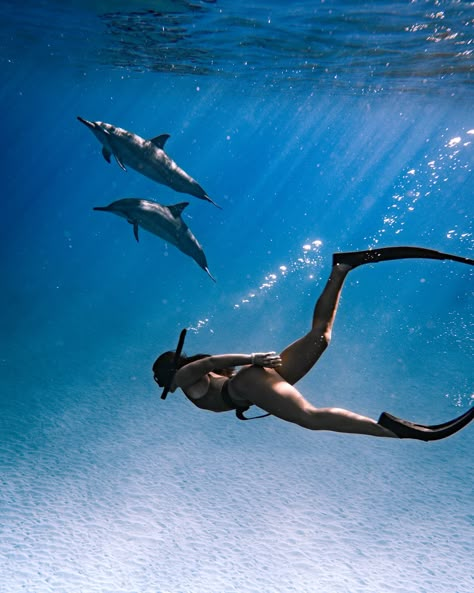 magical mornings w the dolphins 💫 #underwaterphotography #underwaterphotographer #oahuhawaii #hawaiiphotographer #hawaiiphotography #hawaiilife #hawaii #freedive #freedivephotography Swimming With Whales Aesthetic, Swim With Dolphins Aesthetic, Vision Board Hawaii, Swimming With Dolphins Aesthetic, Freediving Aesthetic, Oahu Lifestyle, Dolphins Aesthetic, Hawaii Dolphins, Dolphin Photography