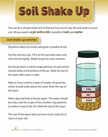 Worksheets: Soil Composition Soil Lessons 1st Grade, Grade 3 Soils Unit, Soil Experiment Grade 3, Soils In The Environment Grade 3, Soil Worksheet, Composition Worksheet, Agriculture Education Classroom, Elementary Earth Science, Soil Activities