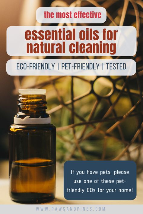 The Most Effective (Pet-Friendly) Essential Oils for Cleaning Your Home | Here are 10 oils that will have your home smelling good and your pets staying safe. Pro tip: you only need 10 drops of EOs to make a DIY vinegar cleaning solution. Stop using so much and wasting these expensive oils! #ecofriendly #zerowaste Essential Oils For Cleaning, Vinegar Cleaning Solution, Plastik Recycling, Diy Vinegar, Smelling Good, Are Essential Oils Safe, Essential Oils Cleaning, Diy Cleaning Solution, Vinegar Cleaning