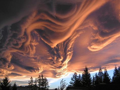 Asperatus Clouds Over New Zealand, isn't nature incredible :-) Undulatus Asperatus, Edgar Mueller, Danxia Landform, Kinds Of Clouds, Lenticular Clouds, Cloud Formations, Landform, Clouds Photography, Image Nature