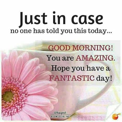 Just In Case No One Has Told You This Today...Good Morning! You Are Amazing. Hope You Have A Fantastic Day! Morning Morning, Good Day Quotes, Morning Greetings Quotes, Morning Inspiration, Morning Blessings, Morning Affirmations, Good Morning Sunshine, Good Morning Inspirational Quotes, Good Morning Picture