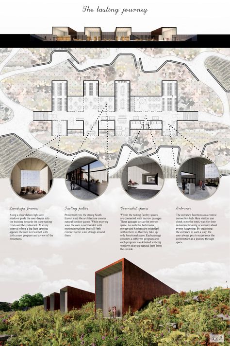 The Fynbos Wine Experience | Concept Architecture Project Winery Architecture Projects, Wine Factory Architecture, Winery Architecture Design, Architectural Project Presentation, Master Plan Architecture Concept, Winery Layout, Wine Cellar Architecture, Architecture Project Presentation, Factory Facade Design