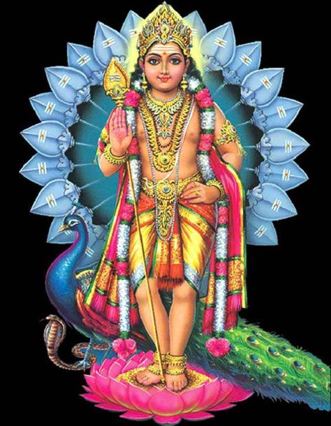 Kanthan Image Lord Subramanya Swamy Hd, Murugan Pic, Murugan Picture, Lord Kartikeya, Subramanya Swamy, God Murugan, Lord Murugan Wallpapers, Lord Photo, Lakshmi Images