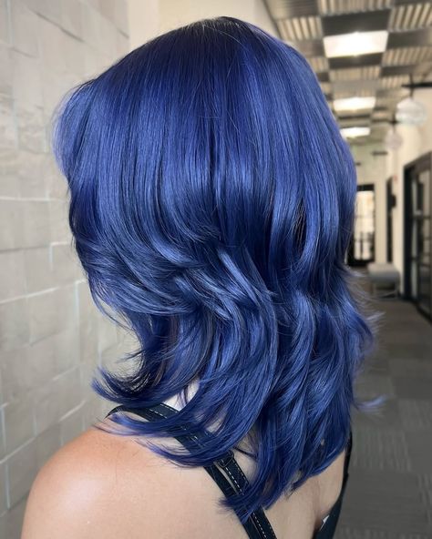 Blue Jellyfish Haircut, Dark Blue Hair Ideas, Dark Blue Jellyfish, Blue Peekaboo Highlights, Hair Color List, Long Shaggy Haircuts, Blueberry Hair, Blue Hair Ideas, Jellyfish Haircut