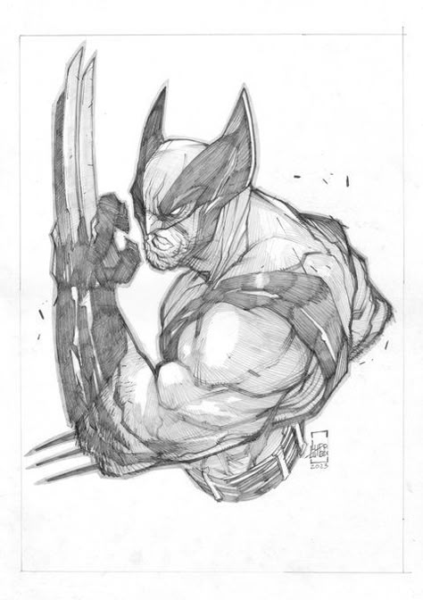 Ludo Lullabi, Wolverine Comic Art, Spiderman Comic Art, Comic Art Sketch, Wolverine Comic, Drawing Superheroes, Comic Book Drawing, Pencil Sketching, Wolverine Art