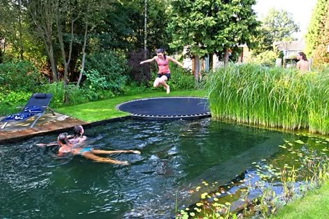 Just a pool, disguised as a pond, with a trampoline instead of a diving board. - Imgur In Ground Trampoline, Kolam Koi, Diving Board, Have Inspiration, Wood Plans, Natural Pool, Dream Backyard, Cool Pools, Diy Backyard