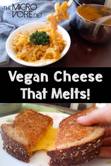 Vegan Cheese That Melts! Vegan Cheese Recipes, Dairy Free Cheese, Vegan Sauces, Ooey Gooey, Recipes Vegan, Vegan Pizza, Seitan, Vegan Foods, Vegan Butter