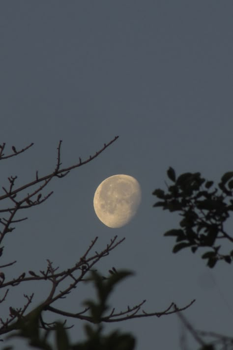 The Moon Aesthetic, Moon Knows All My Secrets, I Watch The Moon, Lady Of The Moon, Daughter Of The Moon, Moon Things, Moon Orbit, Jewelry Mood Board, Talking To The Moon