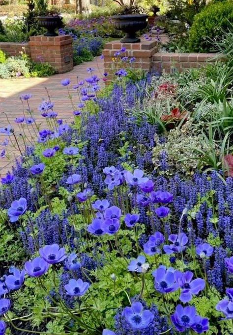 12 Low-Maintenance Garden Border Ideas Boarder Plants, Garden Border Ideas, Garden Border Plants, Shade Landscaping, Gardening Decor, Annual Garden, Border Ideas, Garden Border, Short Plants