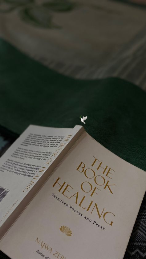 Aesthetic Book Snaps, Book Snapchat Story, Book Reading Snap, The Book Of Healing, Book Reader Aesthetic, Movie Snap, Book Snap, A Little Life Book, Best Poetry Books