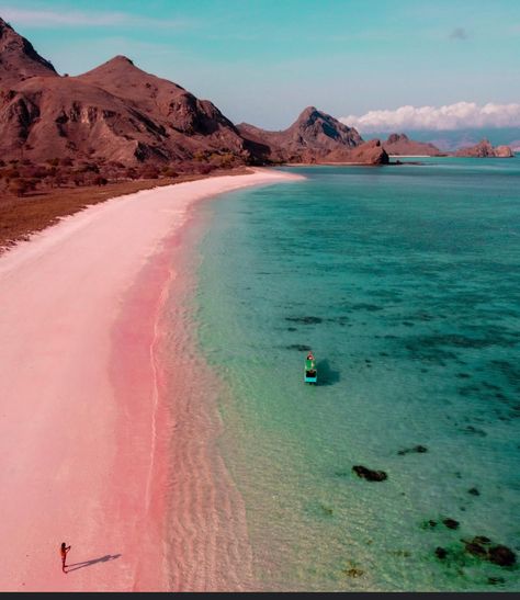 Pink Beach Komodo Island, Indonesia Padar Island, Zamboanga City, Ibiza Island, Komodo National Park, Komodo Island, Pink Sand Beach, Harbour Island, Labuan, Pink Beach