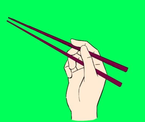 Hand with chopstick green screen Chopstick Hand Reference, Hand Holding Chopsticks, Holding Chopsticks, Reaction Memes, Hand Reference, Hand Holding, Green Screen, Chopsticks, Drawing Reference