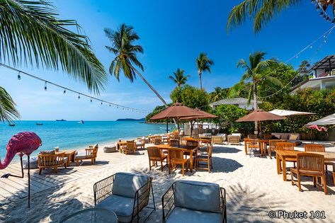 Flamingo Beach Front Cafe is a superb beachside restaurant and bar located on the hidden Ao Yon Beach, southwest of Phuket. Its unique location right on the Beach View Restaurant, Beach Front Restaurant, Phuket Nightlife, Beachside Restaurant, Things To Do At Night, Things To Do In Phuket, Live Music Bar, Hotel Landscape, Patong Beach