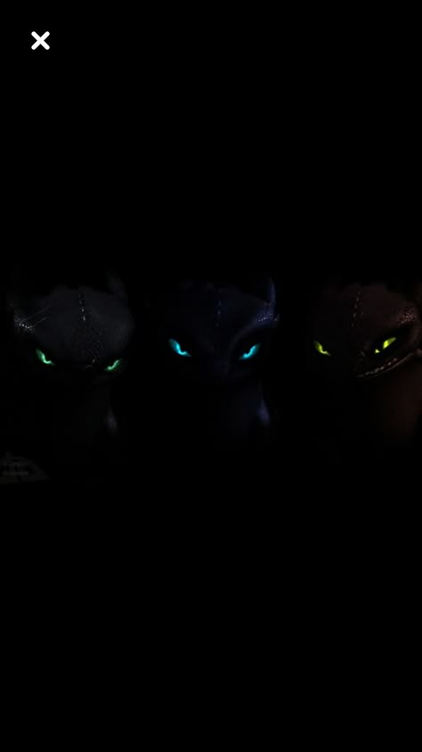 NightFury, LUNA, and Amber Nightfury Wallpaper, Toothless Wallpaper, Castlevania Wallpaper, Dragon Wallpaper Iphone, Httyd Art, Train Dragon, Cute Animal Memes, Httyd Dragons, My Fantasy World