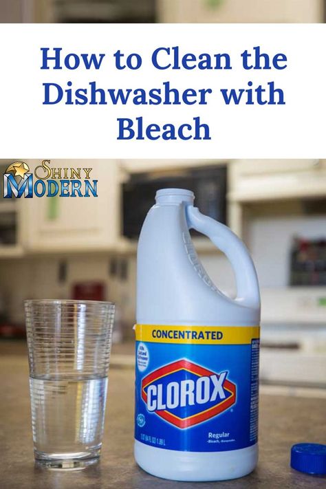 Sometimes you need to clean a dishwasher with a stronger cleaner that can get rid of mold. Here is how to clean your dishwasher with bleach. Cleaning With Clorox Bleach, Stinky Dishwasher Remedy, Diy Dishwasher Cleaner, Clean Black Mold, Clean A Dishwasher, Clean Your Dishwasher, House Schedule, Dishwasher Cleaning, Cleaning With Bleach