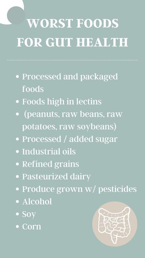 When it comes to improving gut health, it all starts with diet. Eliminating toxic foods that are difficult to digest and cause toxicity in the gut is a great place to start. 

#worstfoodsforguthealth #guthealth #candida #parasites #inflammatoryfoods #guthealing #holistichealth Toxic Food Ingredients, Foods Bad For Gut Health, Healthy Food Quotes, Healthy Gut Recipes, Gut Health Diet, Beauty Therapy Room, Gut Healing Recipes, Gut Health Recipes, Improve Gut Health