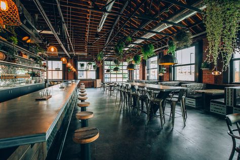 The Suffolk Punch and Hyde Brewing | LoSo Charlotte | coffee, restaurant, and brewery Warehouse Brewery, Brewery Aesthetic, Taproom Design, Brewery Interior Design, Industrial Brewery, Farm Brewery, Modern Brewery, Brewery Interior, Suffolk Punch