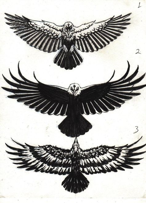 Small Eagle Tattoo, Crow Tattoo Design, Kunst Tattoos, Crow Tattoo, Eagle Tattoos, Raven Tattoo, Eagle Tattoo, Wings Tattoo, Birds Tattoo