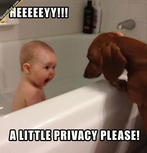 Hey A Little Privacy Please ! | Click the link to view full image and description : ) Indian Funny, Funny Baby Pictures, Funny Baby Memes, Baby Memes, Funny Cartoons, 귀여운 동물, Funny Babies, Baby Pictures, Funny Kids