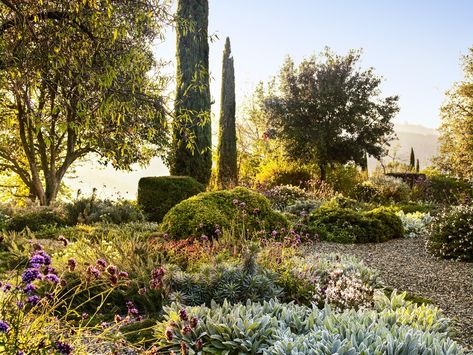 Capri Villa, Luciano Giubbilei, Tuscan Garden, Herb Garden Design, Mediterranean Landscaping, Under The Tuscan Sun, Tower Garden, Sun Garden, Chic Chic