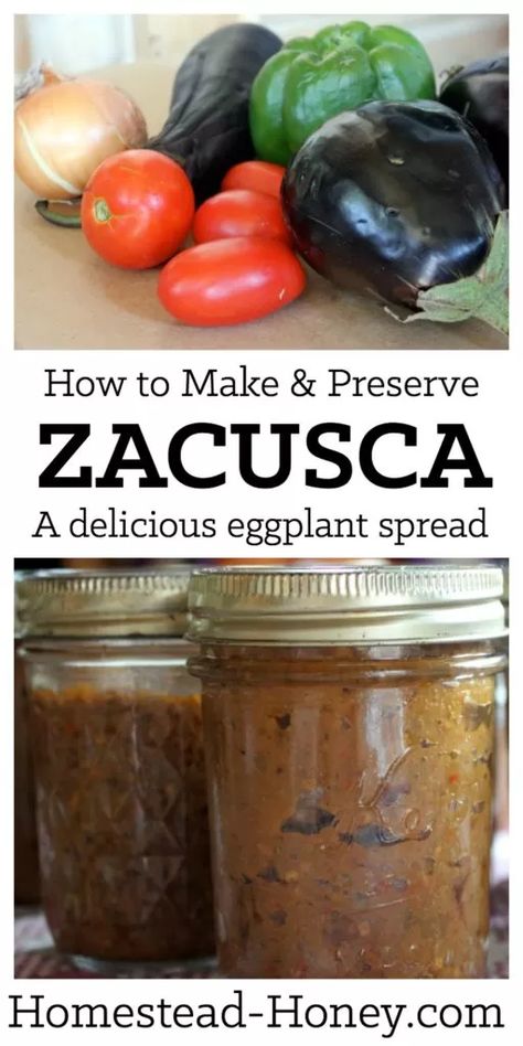 Zacusca Recipe | Homestead Honey Preserving Eggplant, Canning Eggplant, Food Preparedness, Eggplant Spread, Homestead Pantry, Homestead Food, Canning Granny, Homestead Recipes, Csa Box