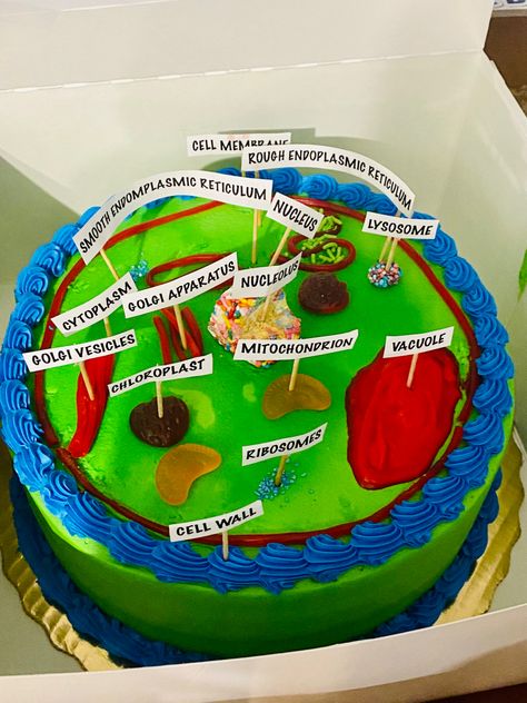 Cell Model Project Ideas Edible, Plant Cell Project Cake, Plant Cell Cake Project, Plant Cell Cake Model, Animal Cell Cake Project, Cell Cake Project, Plant Cell Cake, Cell Cake, Plant Cell Project