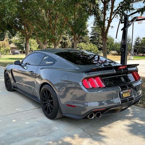 Massive Garage, Mustang Car, Shelby Gt350, Ford Mustang Car, Car Life, Mustang Cars, Luxury Lifestyle Dreams, Pretty Cars, Mustang Shelby