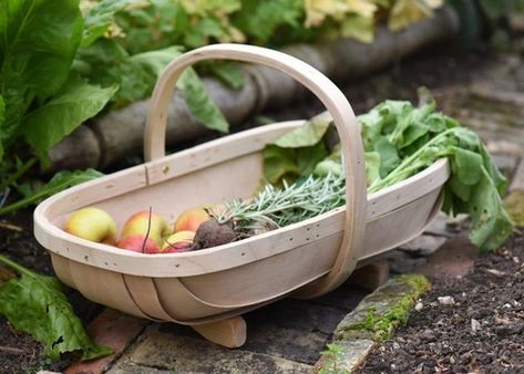 Garden Trug, Gardening Gift Baskets, Harvesting Tools, Best Garden Tools, Long Stem Flowers, Herb Containers, Wood Wall Panels, Harvest Basket, Gardening Gear