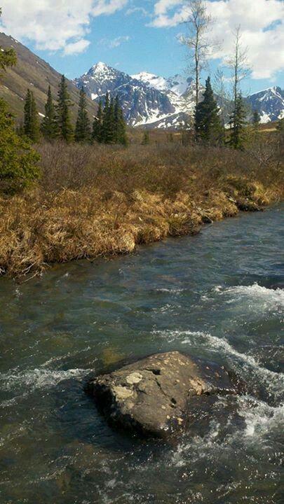 Along the South Fork Trail of the Eagle River near Eagle River, Alaska. Eagle River Alaska, Alaska Pictures, Mountain Streams, Alaska Mountains, Scenic Places, Dream Trips, Mountain Stream, Breathtaking Places, Alaska Travel