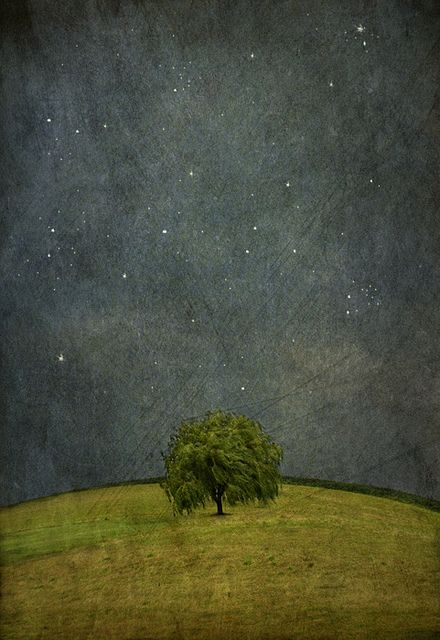 are you there? by jamie heiden, via Flickr Jamie Heiden, Stars In The Sky, Lone Tree, Watercolor Cards, Abstract Paintings, Painting Illustration, Watercolor Landscape, A Tree, Night Sky