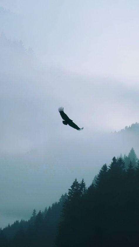 Htc Wallpaper, Ichigo Kurosaki Wallpaper, Eagle Flying, Ravenclaw Aesthetic, Eagle Wallpaper, Eagle Mountain, Beautiful Scenery Pictures, Mountain Wallpaper, Wallpaper For Iphone