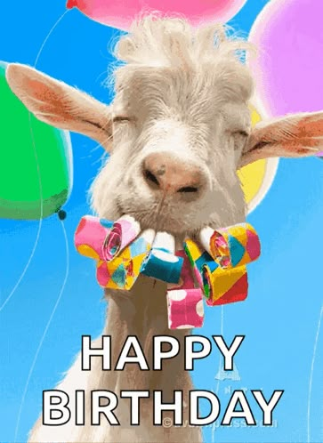 Happy Valentine Gif, Happy Birthday Goat, Gif Happy Birthday, Happy Birthday Fireworks, Happy Birthday Humorous, Funny Happy Birthday Gif, Birthday Animated Gif, Happy Birthday Gif Images, Animated Happy Birthday Wishes