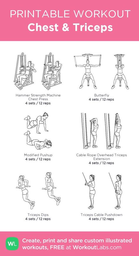 Chest And Tricep Workout Women Gym, Chest And Tricep Workout Women, Chest And Triceps Workout, Chest And Tricep Workout, Chest Workout Women, Workout Labs, Tricep Workout, Printable Workout, Fitness Memes