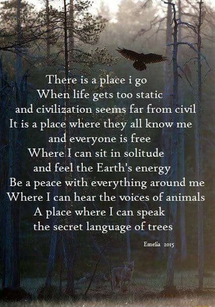 There is a plate i go When life gets too static and civﬂiiation seems far from civil It is a place where they all know me anel everyone is free Where]! can sit in solitude and feel the Earth's energy Be a peace with everything around me Where I can hear the voices of animals A place‘where I can speak the secret language of trees – popular memes on the site ifunny.co Inspirational Nature Quotes, Nature Quotes Inspirational, Quotes Peace, A Poem, Nature Quotes, In The Woods, Great Quotes, Beautiful Words, Inspirational Words