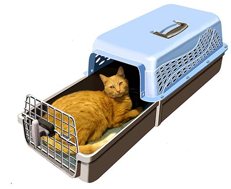 Check out this innovative Cat Carrier! This design offers a totally new way to get cats in and out of a carrier that’s much less stressful for both you and your cat! This new carrier has a unique slide-out drawer that allows you to place your cat inside and simply slide the drawer closed - no more shoving kitty through a small opening and fumbling with the door latch! Read more about it here: Cat Carrier Diy, Cat Travel Carrier, Cat Brain, Cat Seat, Cat Furniture Diy, New Cat, Cat Travel, Cat Carrier, Cat Family