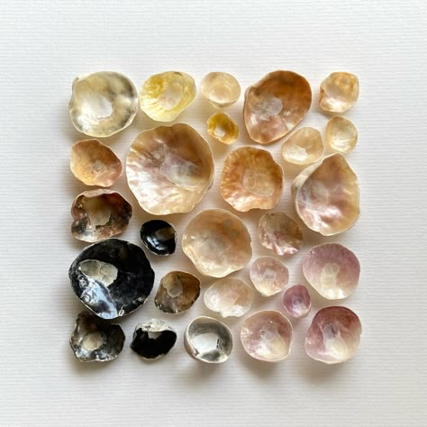 All Posts • Instagram Pearly Interiors, Jingle Shells, Seashell Art Diy, Sea Shells Diy, Art Coquillage, Beach House Art, Sea Crafts, Irregular Shapes, British Summer