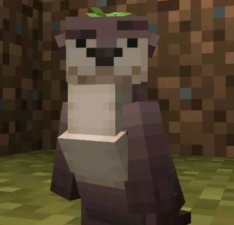 Minecraft nutria dedsafio Otter Meme, Icons Minecraft, Minecraft Addons, Minecraft W, Minecraft Stickers, Minecraft Images, Minecraft Anime, Skin Minecraft, Minecraft Mobs