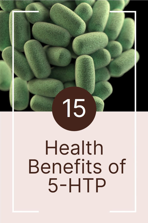 5htp Benefits, Brain Health Supplements, 5 Htp, Summer Health, Plant Nutrients, Natural Antibiotics, Good Health Tips, Natural Supplements, Brain Health