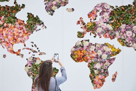 See A World Map Made From 2,000 Flowers | Londonist World Flowers, Wedding Car Deco, Floral Map, London Design Week, Map World, Fact Of The Day, Heathrow Airport, Map Of The World, Perfume Scents