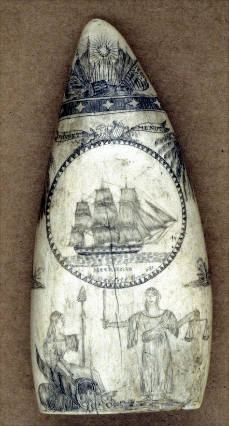 Spencer  Pratt. Scrimshaw Artist and sailor on a whaling vessel. c. 183. Pratt lived in Bristol, RI. USA. Spencer Pratt, Scrimshaw Art, Mystic Seaport, Nautical Art, Bone Carving, Sailing Ships, Bristol, Sea Shells, Folk Art