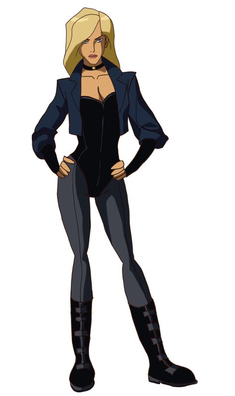 black canary young justice Black Canary Costume, Black Canary Comic, Dinah Drake, Dinah Laurel Lance, Arrow Black Canary, Lance Black, Justice League Unlimited, Dc Comics Characters, Black Canary