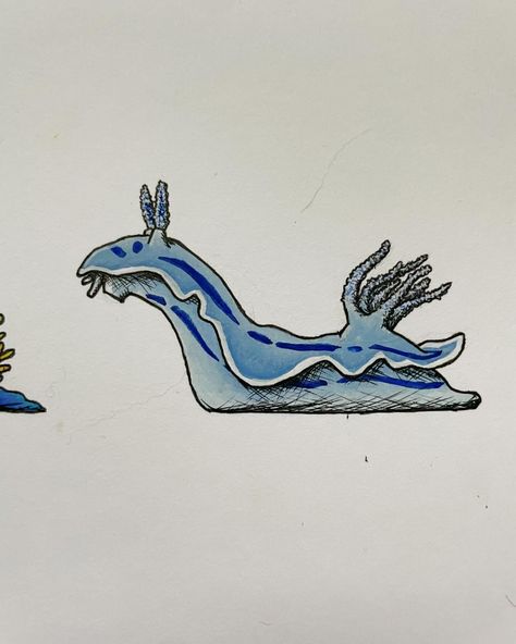 Sea Animal Drawings, Nudibranch Tattoo, Nudibranch Drawing, Nudibranch Character Design, Nudibranch Illustration, Crochet Nudibranch, Blue Nudibranch, Sea Slugs Nudibranch, Ocean Tattoos